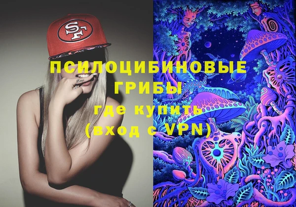 прущий лед Белокуриха
