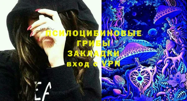 дурь Волоколамск