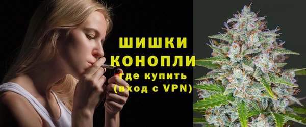 прущий лед Белокуриха