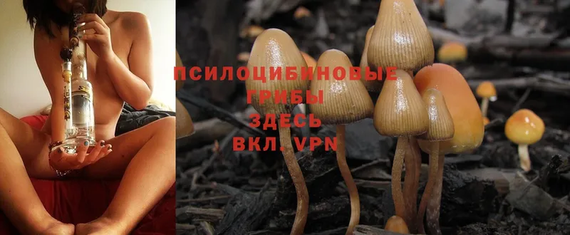 Псилоцибиновые грибы Magic Shrooms Демидов