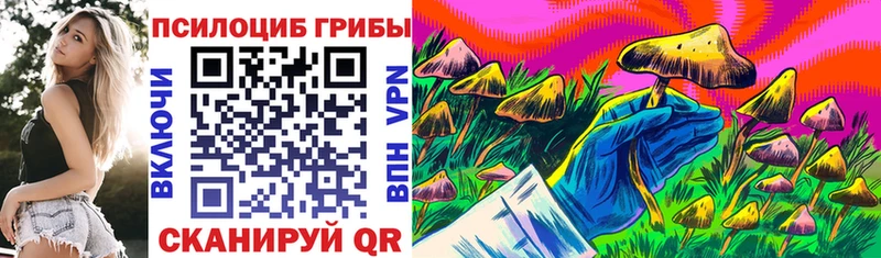 ОМГ ОМГ как зайти  Демидов  Галлюциногенные грибы прущие грибы 